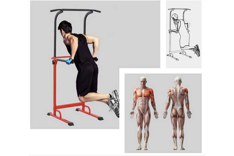 Pullup Fitness Station musculation test