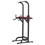 Pullup Fitness Barre de Traction chaise romaine
