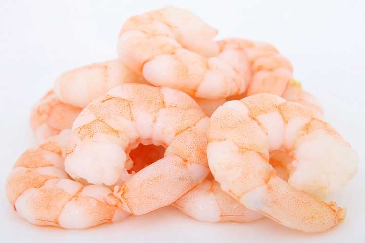 combien de protéine dans les crevettes