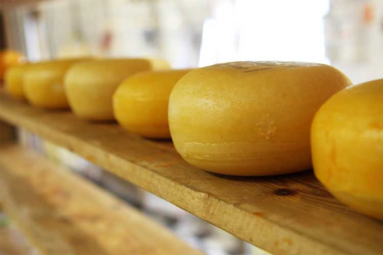 combien de protéine dans les fromages