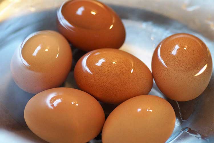 combien de protéine dans les œufs durs